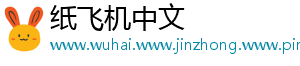 纸飞机中文